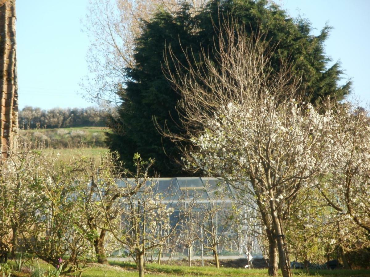 Вілла La Ferme Fleurie Echinghen Екстер'єр фото